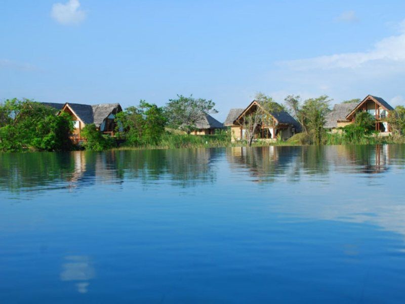 Jetwing Vil Uyana, A Luxury Reserve Sigiriya